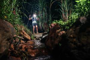 BIB: 
                            <button type="button" onclick="openModal(26414505)" class="btn btn-primary btn-sm float-right btn-popup" data-toggle="modal" data-target=".modal-high-quality">
                        <i class="fas fa-shopping-cart"></i> Add to Cart
                    </button>
                                            <button type="button" onclick="isThisMe(26414505, true)" class="btn btn-success btn-sm float-right btn-popup btn-isme hidden" data-toggle="tooltip" data-placement="bottom" title="นี่คือรูปของคุณใช่ไหม คลิกที่นี่เพื่อเอาเข้าอัลบั้ม">
                        <i class="fas fa-plus"></i> Add to album
                    </button>
                    <button type="button" onclick="isThisMe(26414505, false)" class="btn btn-warning btn-sm float-right btn-popup btn-isnotme hidden">
                        <i class="fas fa-ban"></i> Remove from album
                    </button>